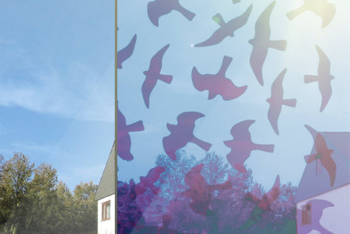 Birdsticker‐Set Dr. Kolbe -  5 läpinäkyvää uv-tarraa